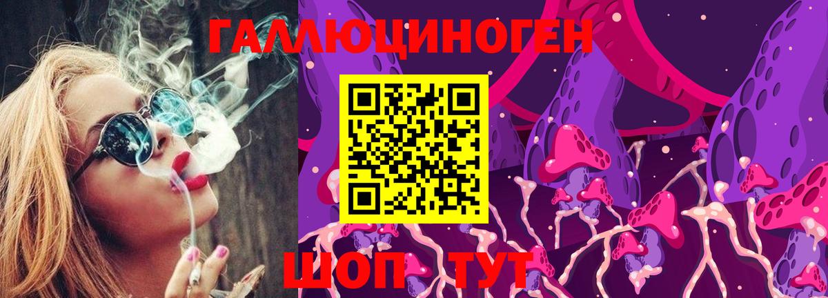 купить закладку  Псилоцибиновые грибы Magic Shrooms  Вход с VPN  Псилоцибиновые грибы мицелий  Новодвинск 